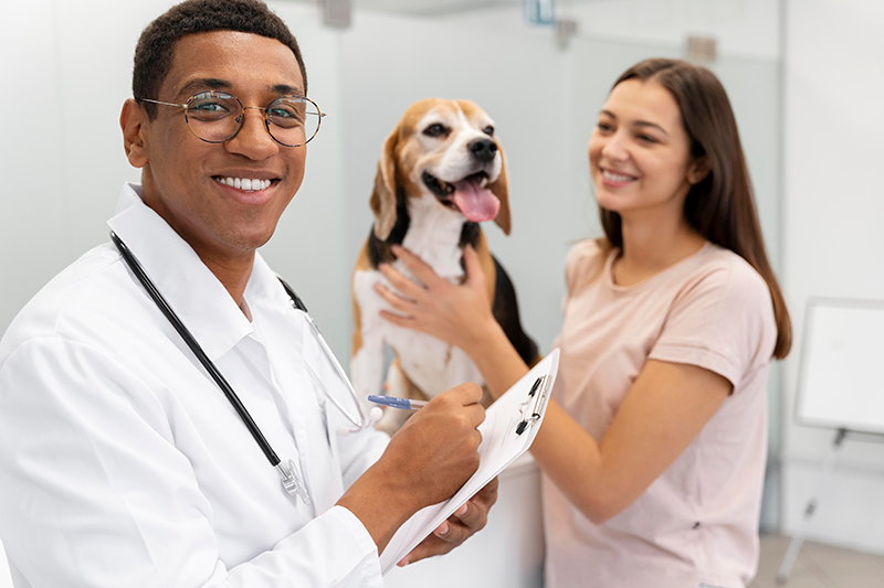 A experiência do cliente na medicina veterinária moderna: como encantar tutores e fidelizar clientes